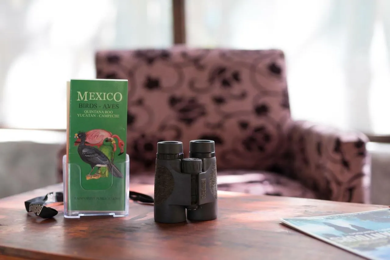 Meli-Melo P&B Villa Tulum Holiday home