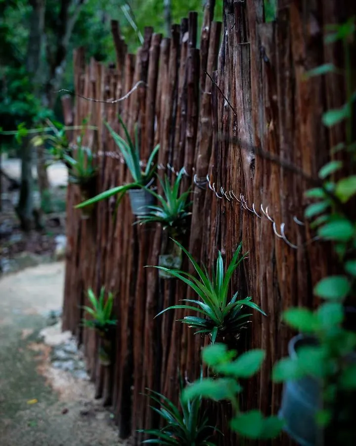 Vakantiehuis Meli-Melo P&B Villa Tulum Pueblo